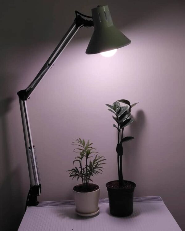 لامپ رشد گیاه حبابی